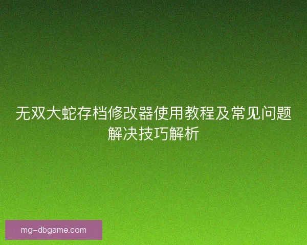 无双大蛇存档修改器使用教程及常见问题解决技巧解析